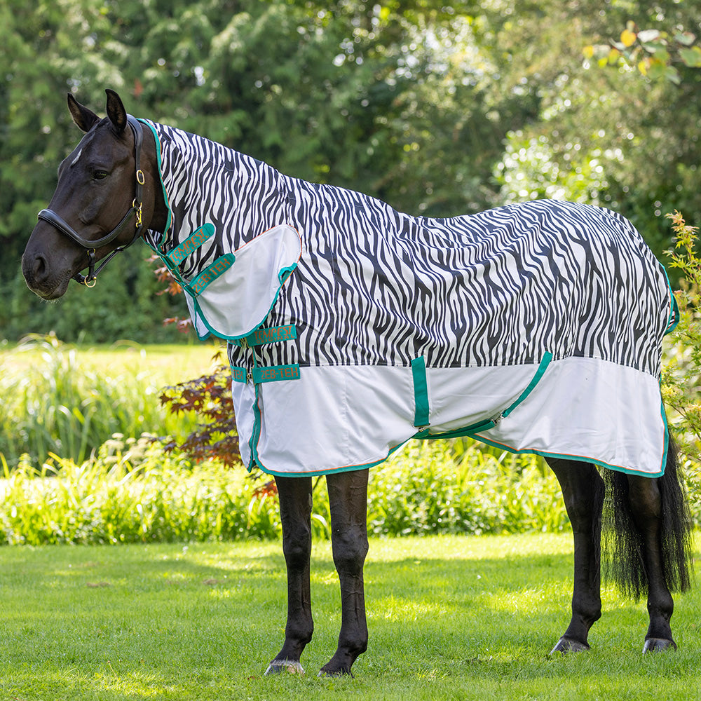 Shires Tempest Original Zeb-Tek Fly Combo