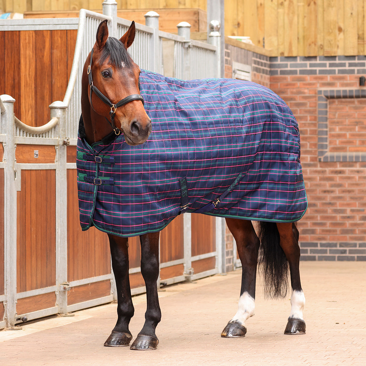 Tempest Plus Stable Rug 100 g