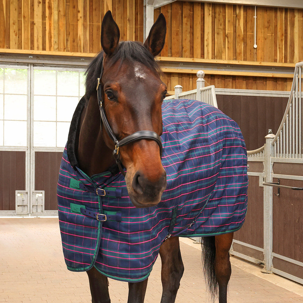Tempest Plus Stable Rug 100 g
