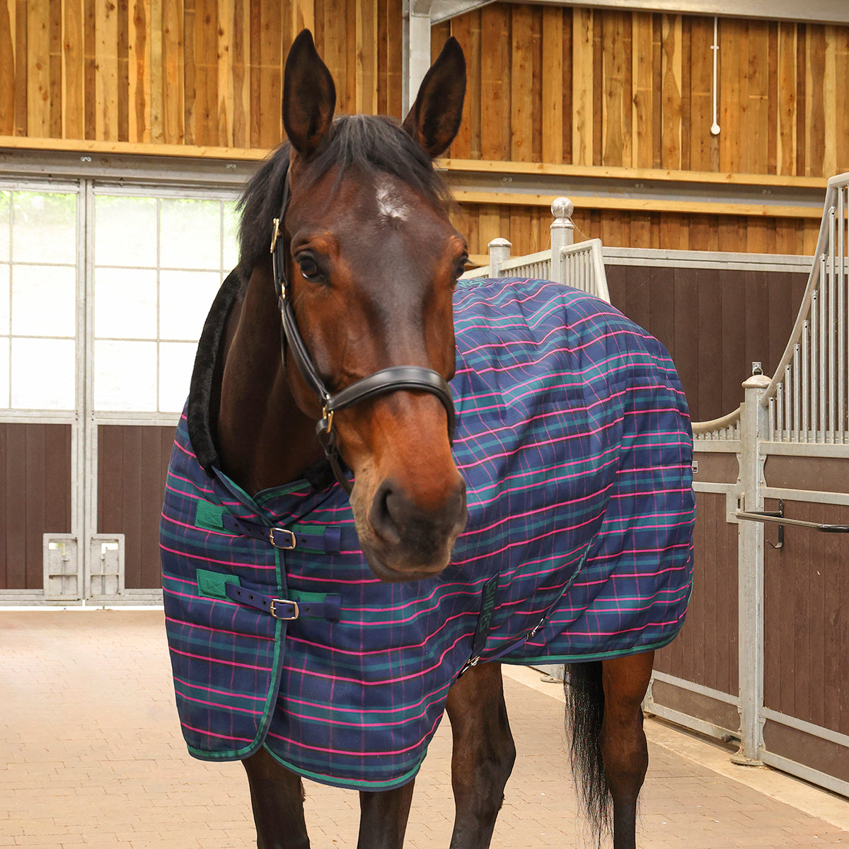 Tempest Plus Stable Rug 100 g