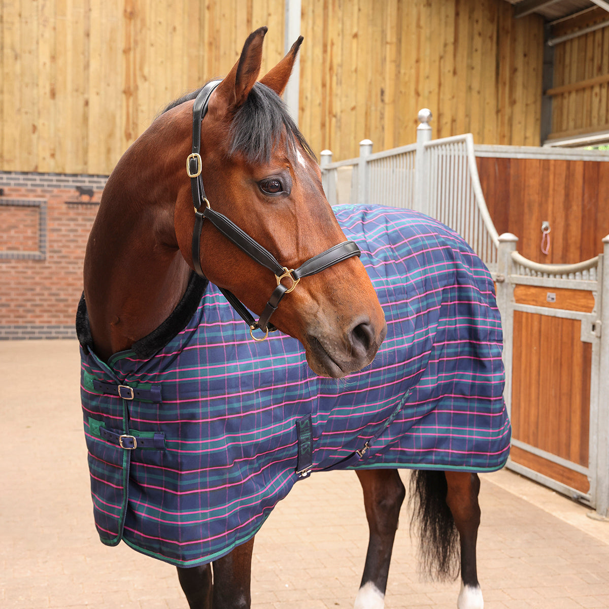 Tempest Plus Stable Rug 100 g