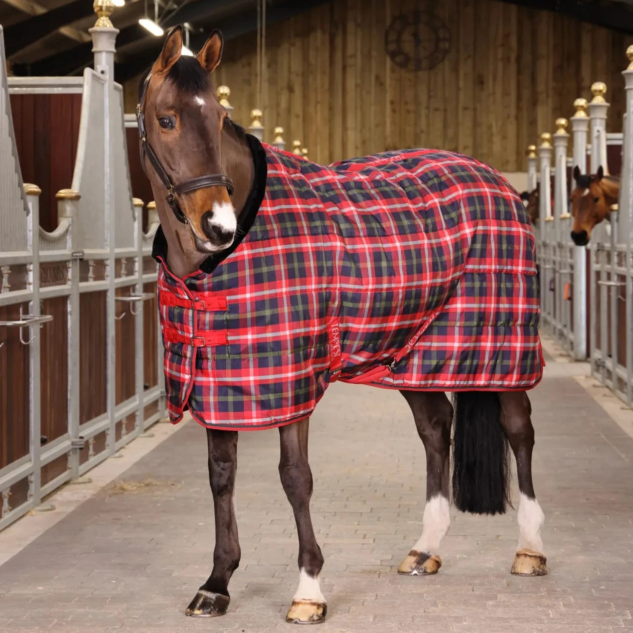 Tempest Plus Stable Rug 200 g