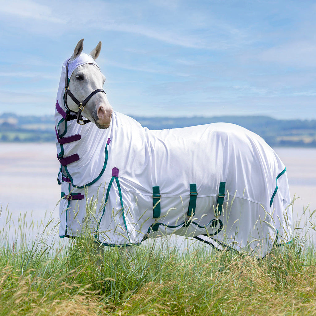 Shires Highlander Plus Fly Sheet Combo