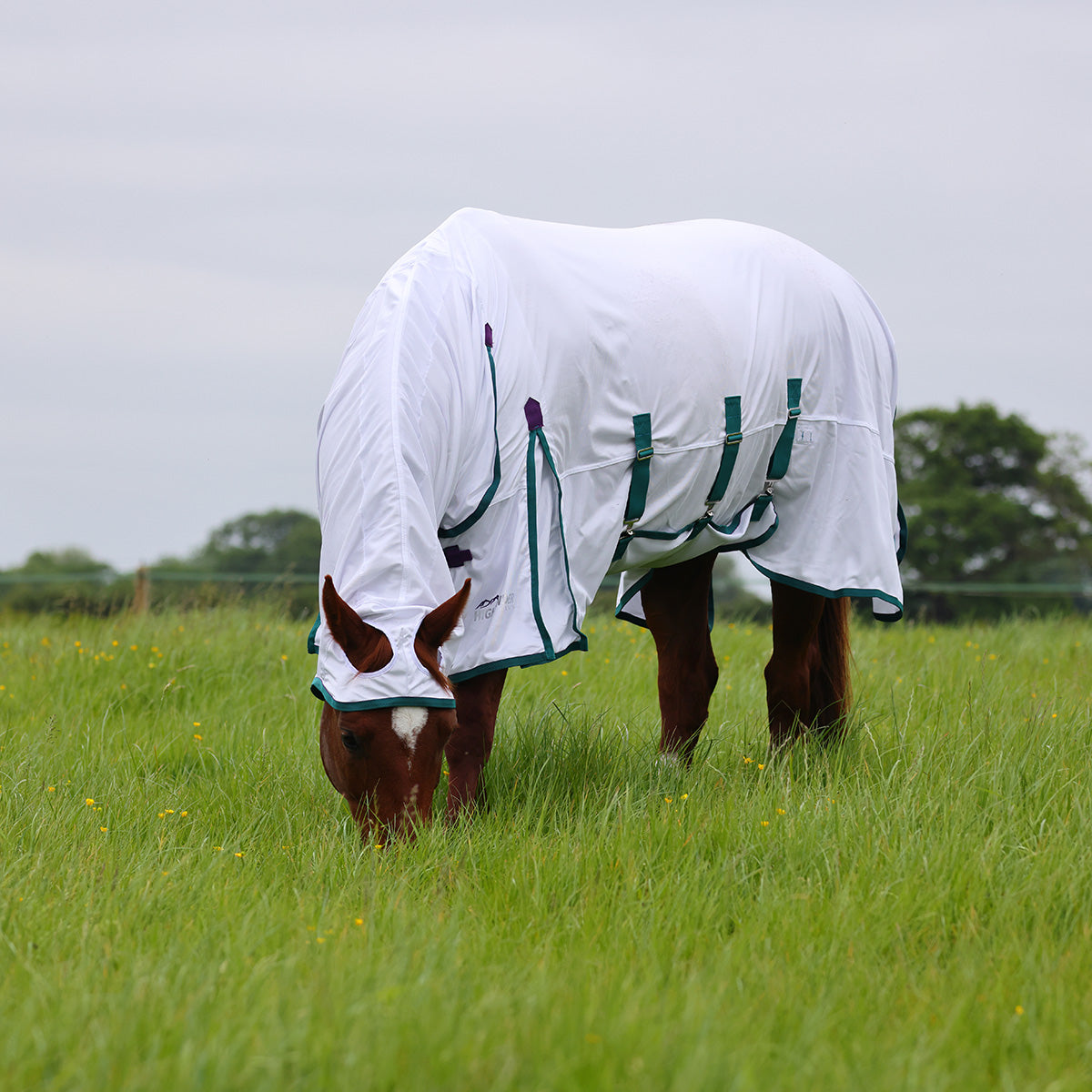 Shires Highlander Plus Fly Sheet Combo