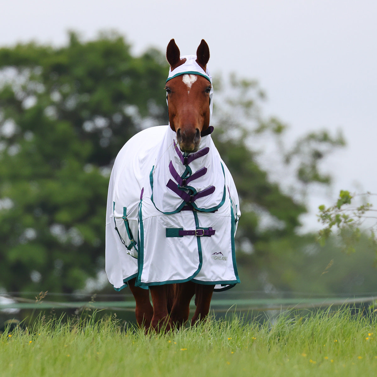 Shires Highlander Plus Fly Sheet Combo