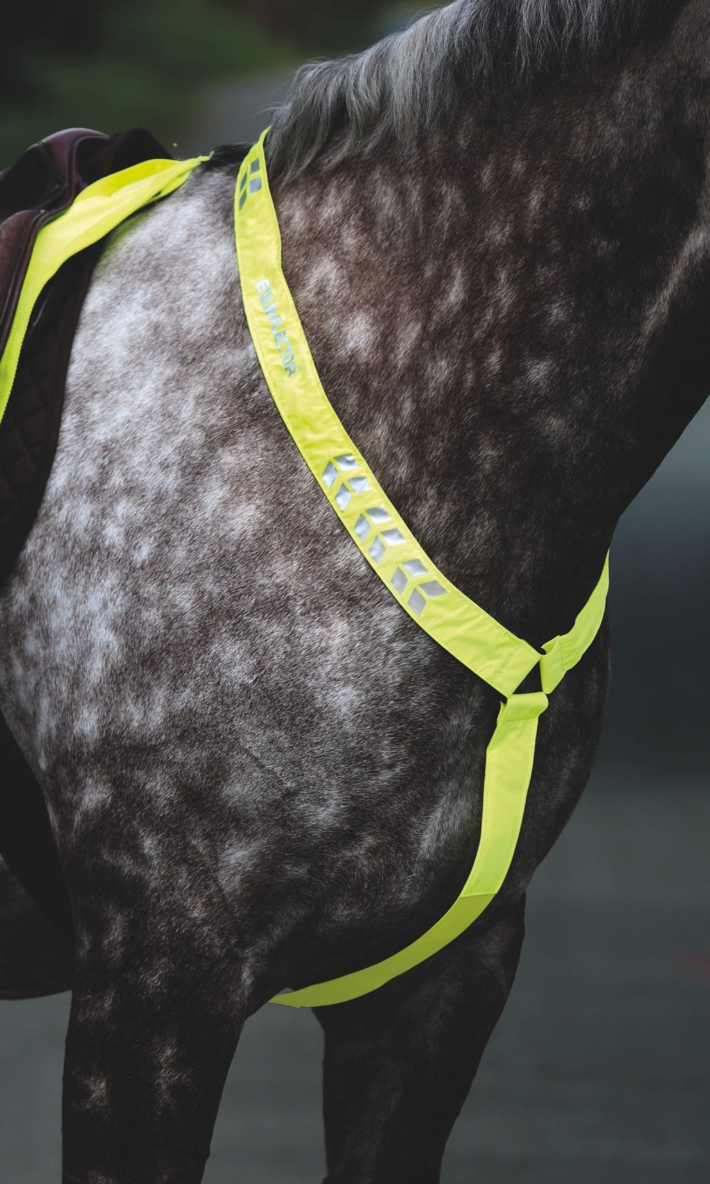 EQUI-FLECTOR BREASTPLATE