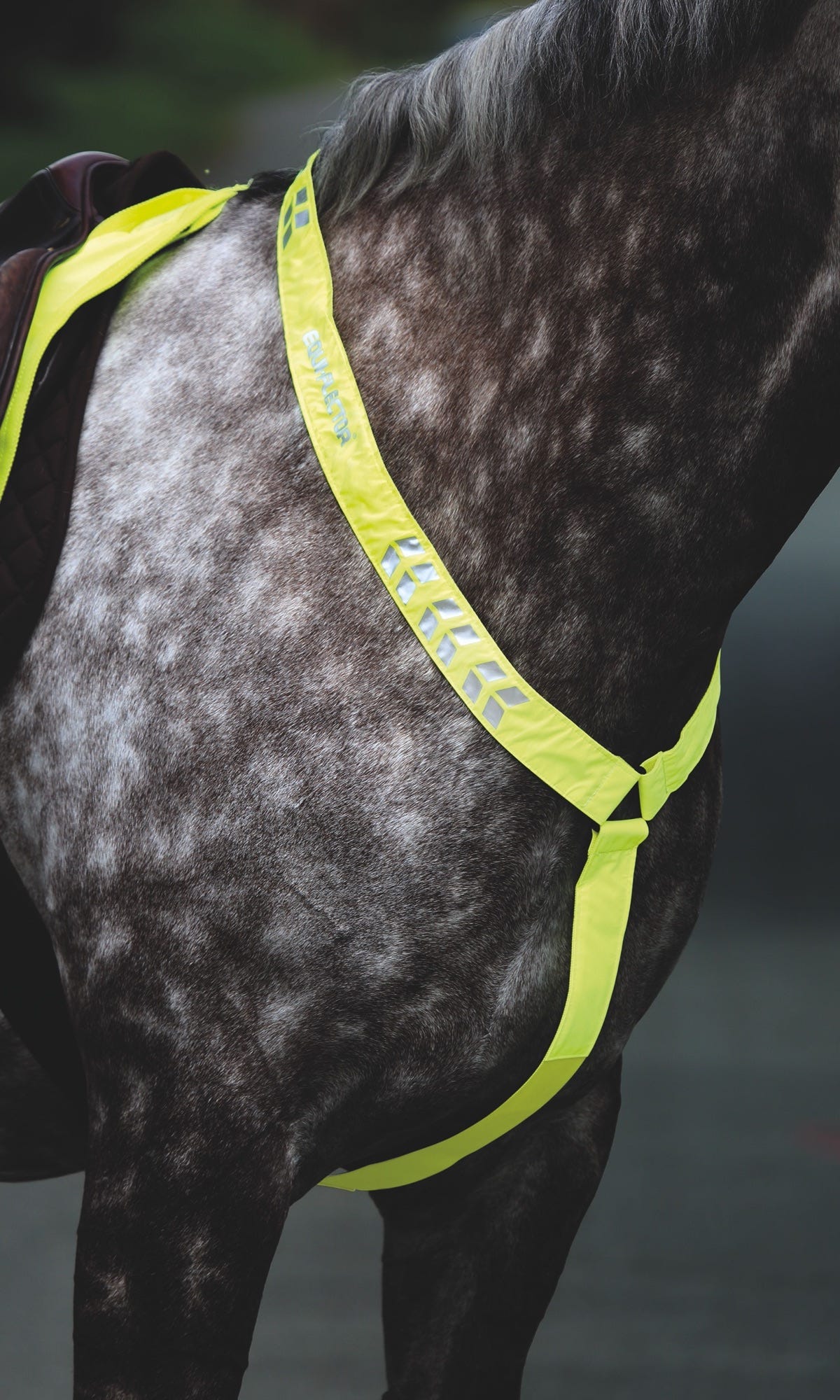 EQUI-FLECTOR BREASTPLATE