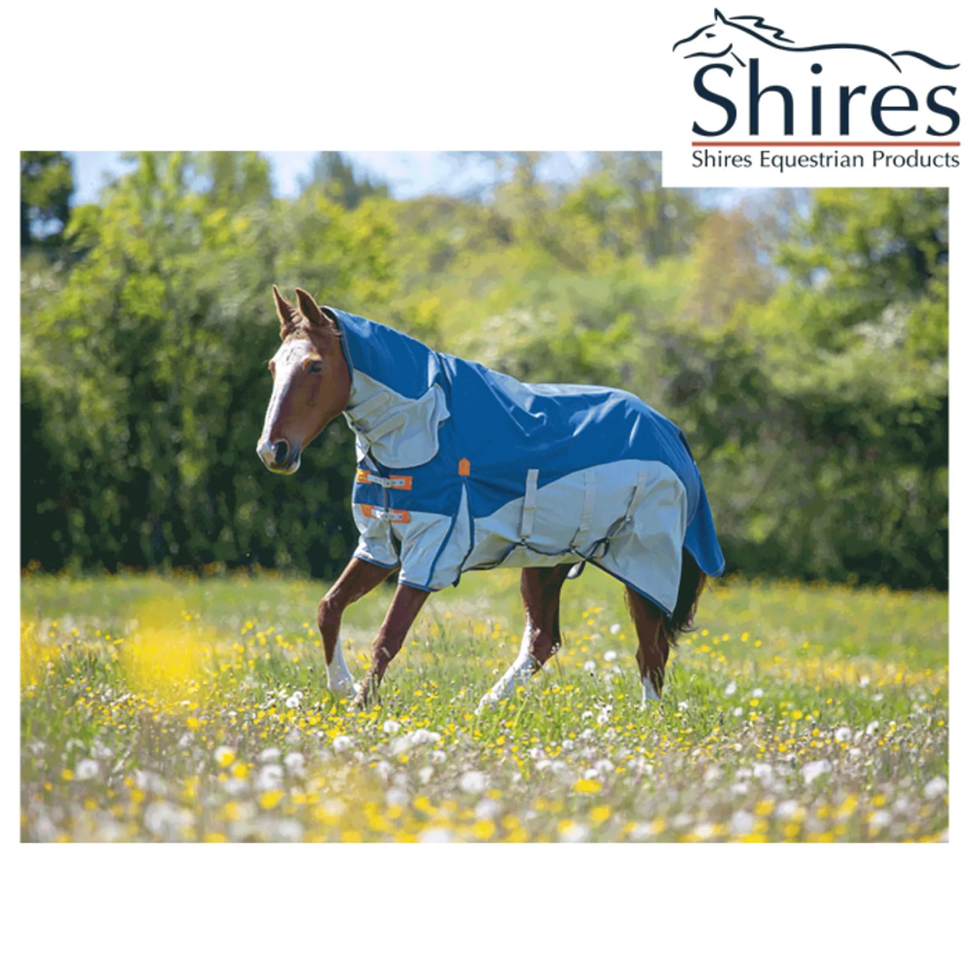 Shires Highlander Plus Waterproof Fly Rug
