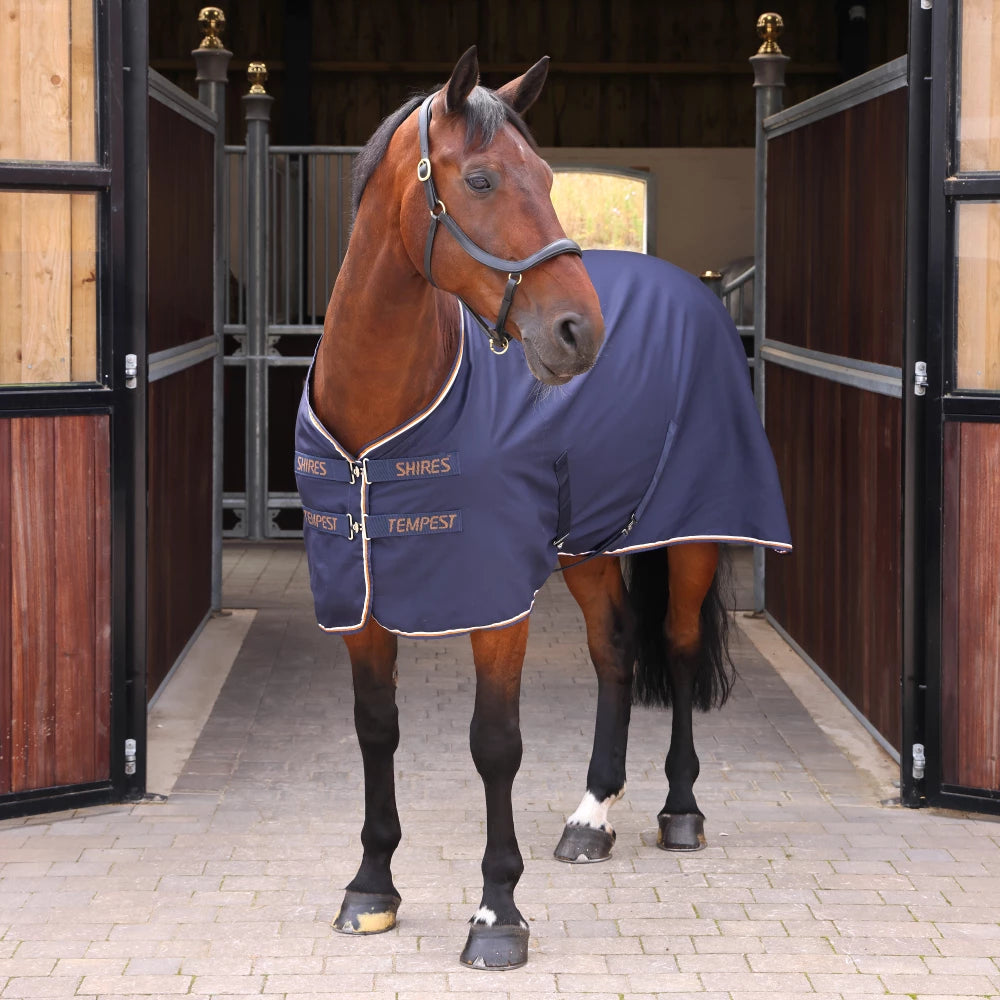 Shires Tempest Original Stable Sheet Ink