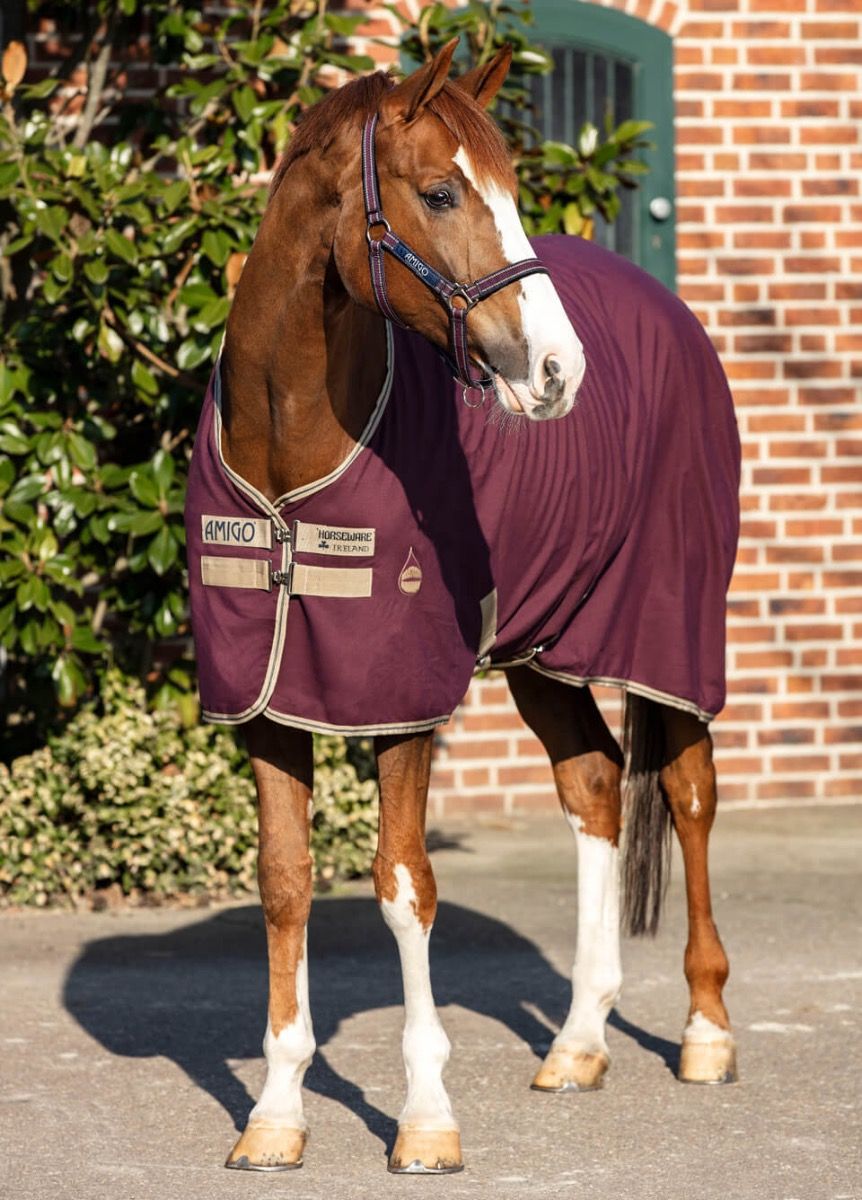 Amigo Stablee Horse Sheet
