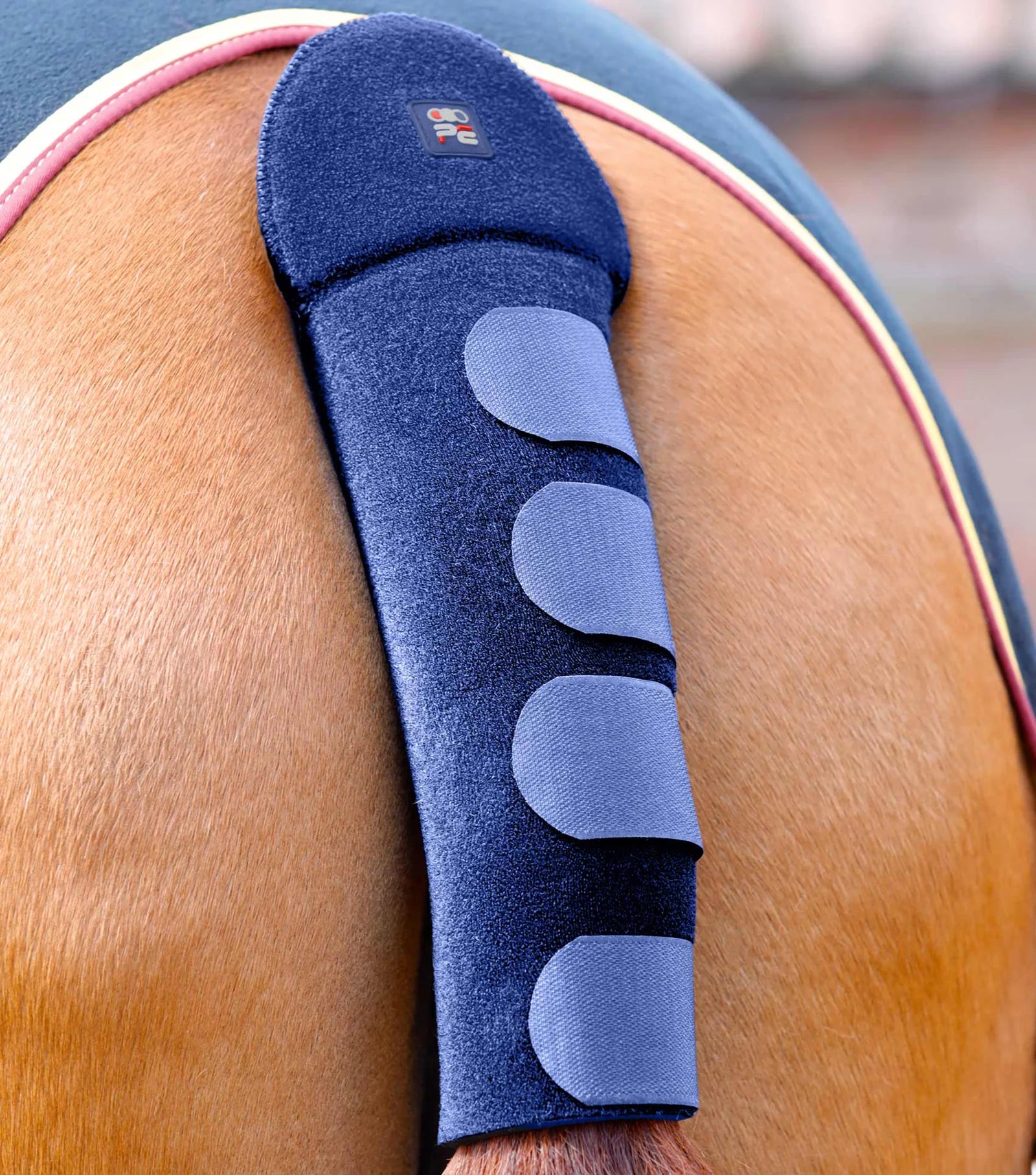 Premier Equine Anti Slip Tail Guard