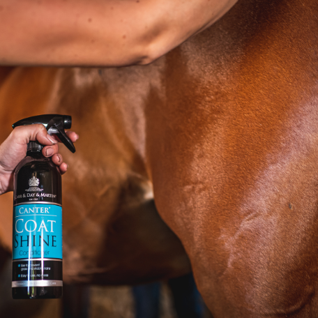 Cdm Canter Coat Shine Conditioner 500 ml (Spray)