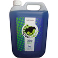 Cleanround Fragranced Yard Wash - 5 L