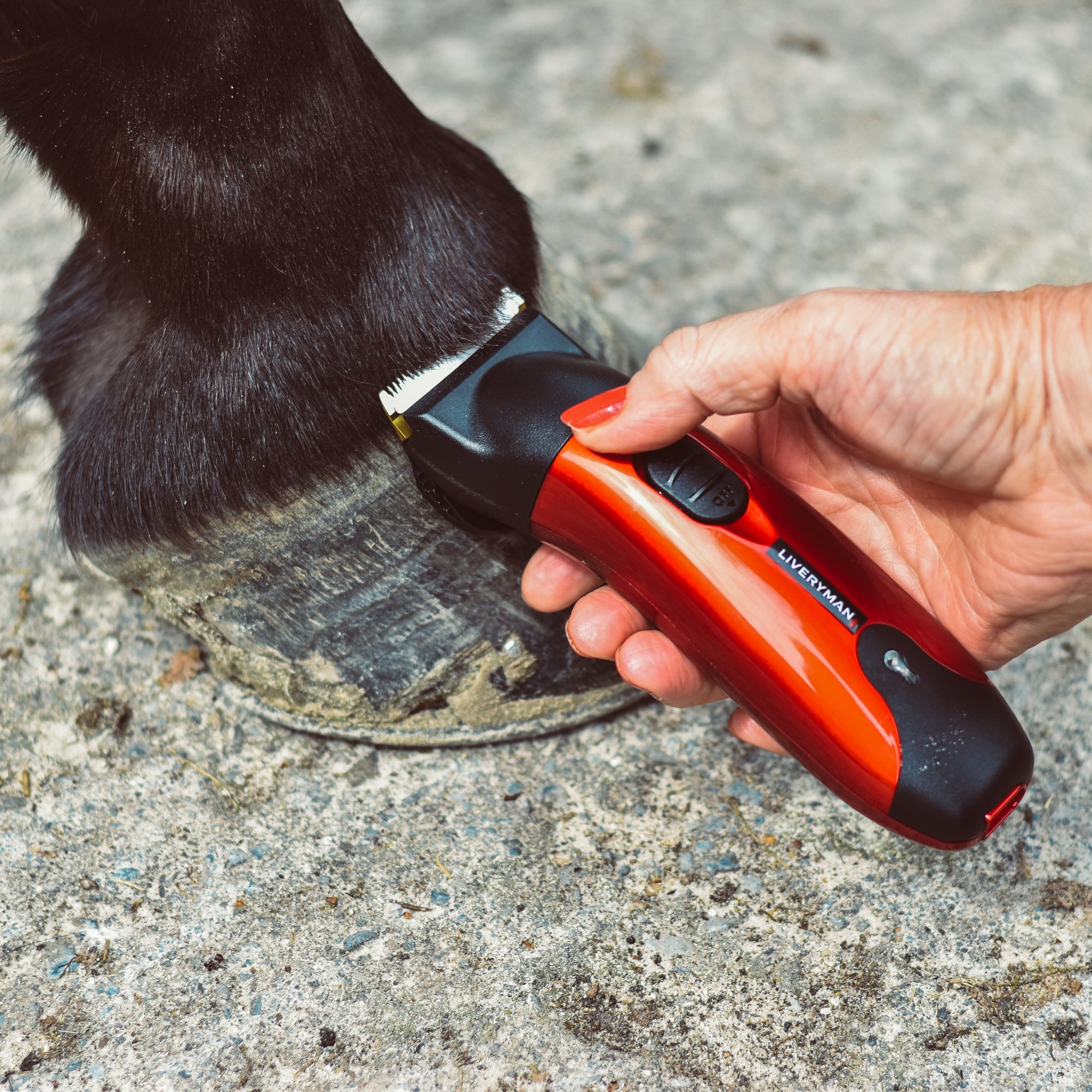 Liveryman Classic Trimmer