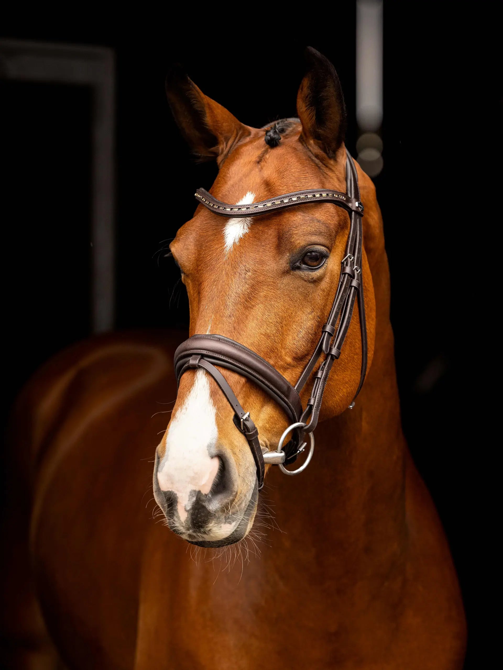 Lemieux Anatomic Arika Dressage Bridle