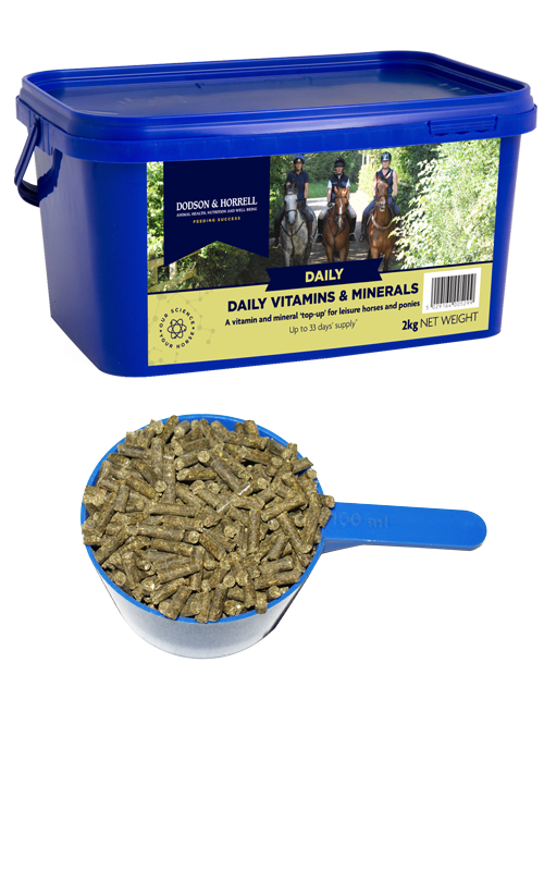 Dodson & Horrell Daily Vits & Mins 2kg