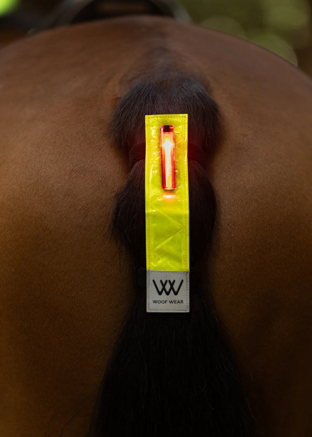 Woof Wear Led Hi Vis Tail Light