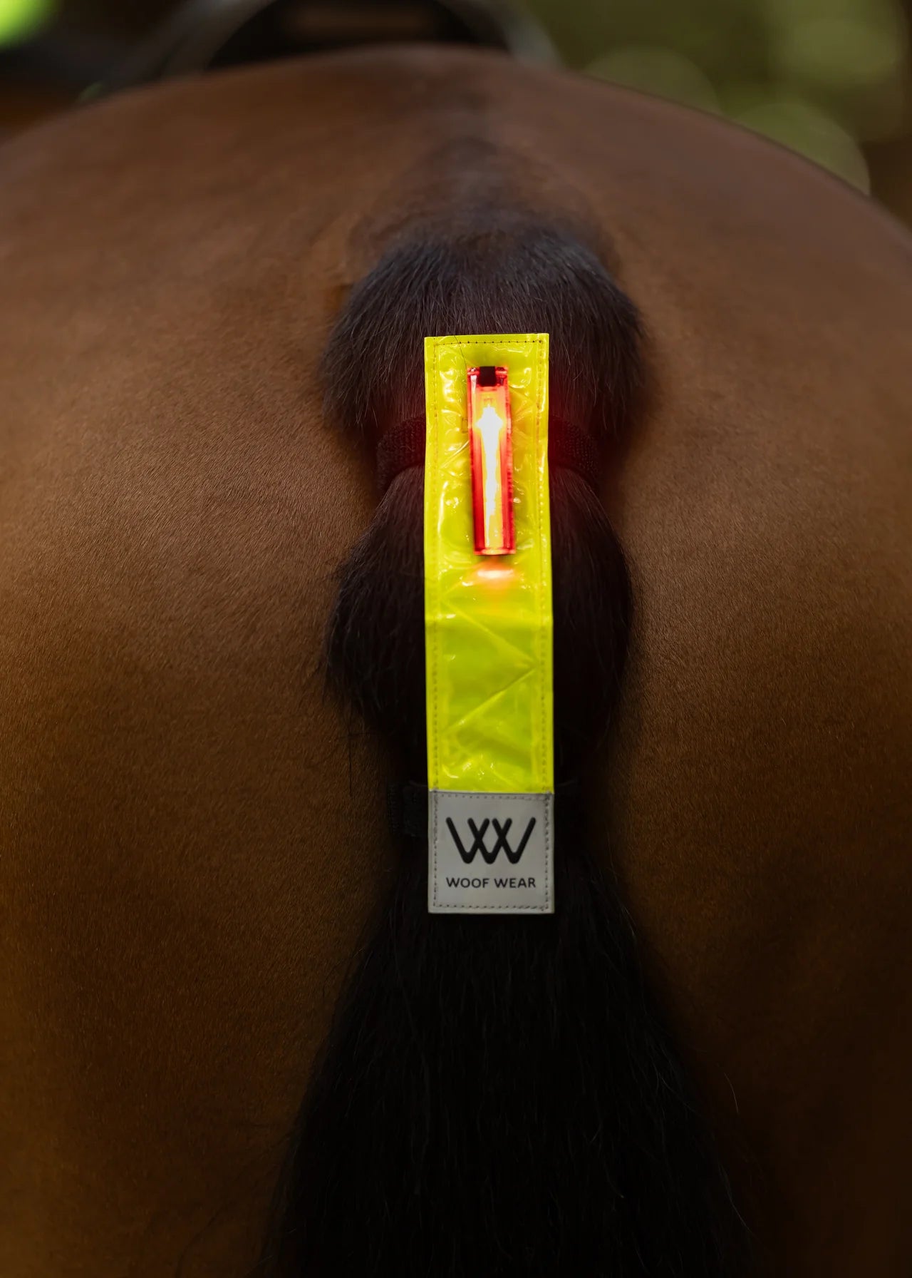 Woof Wear Led Hi Vis Tail Light