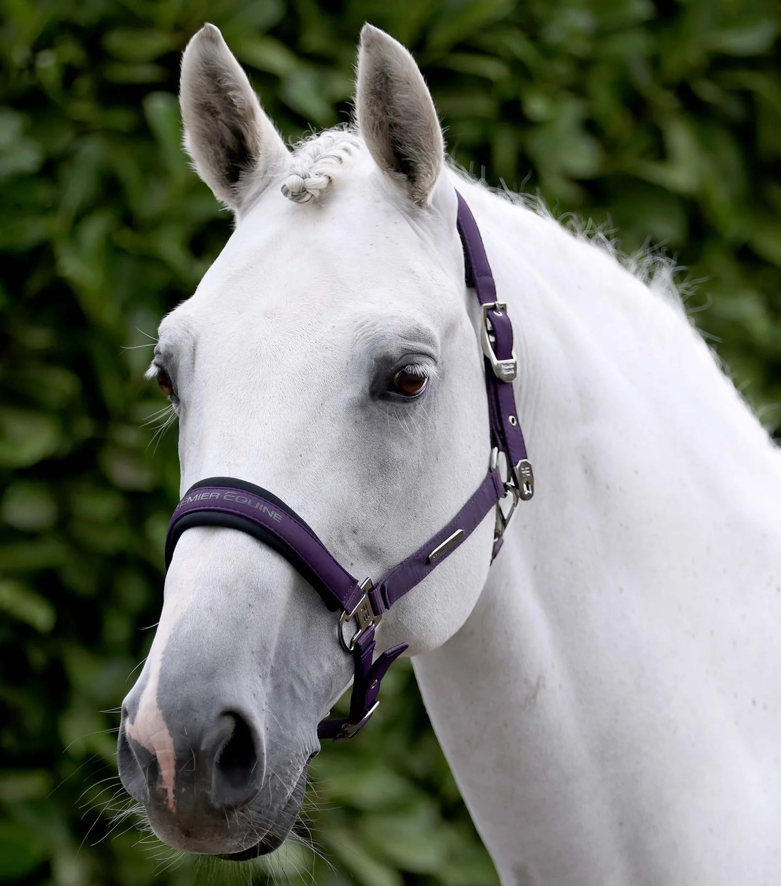 Premier Equine Duco Headcollar & Leadrope