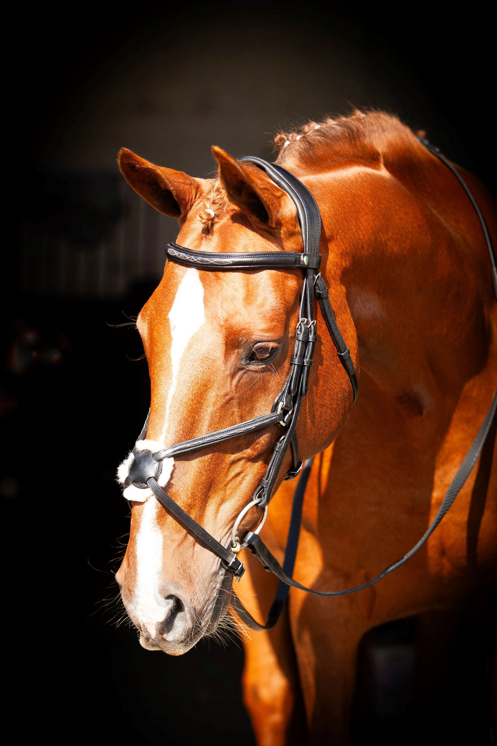 Ultra Comfort Galway Grackle Bridle