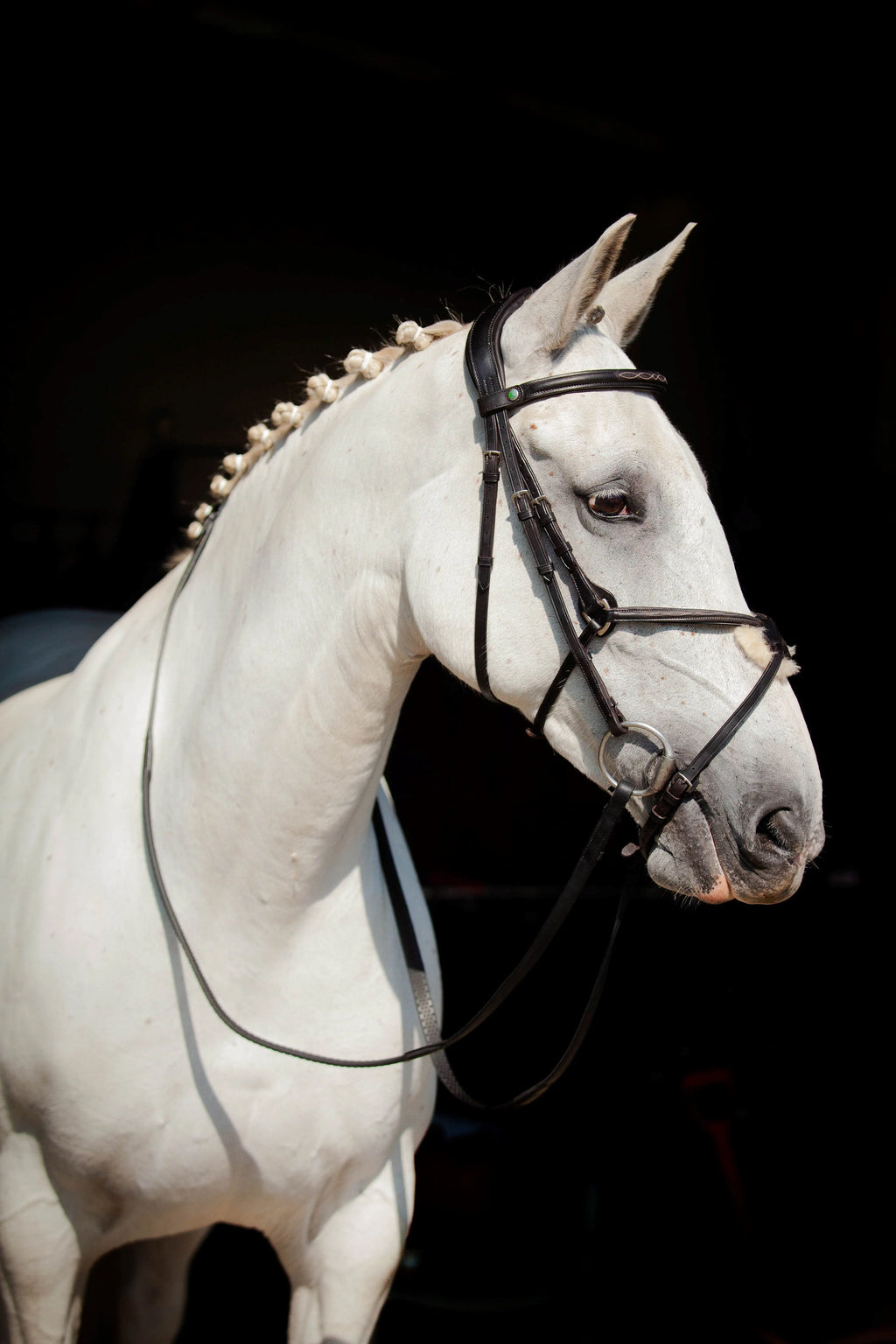 Ultra Comfort Galway Grackle Bridle