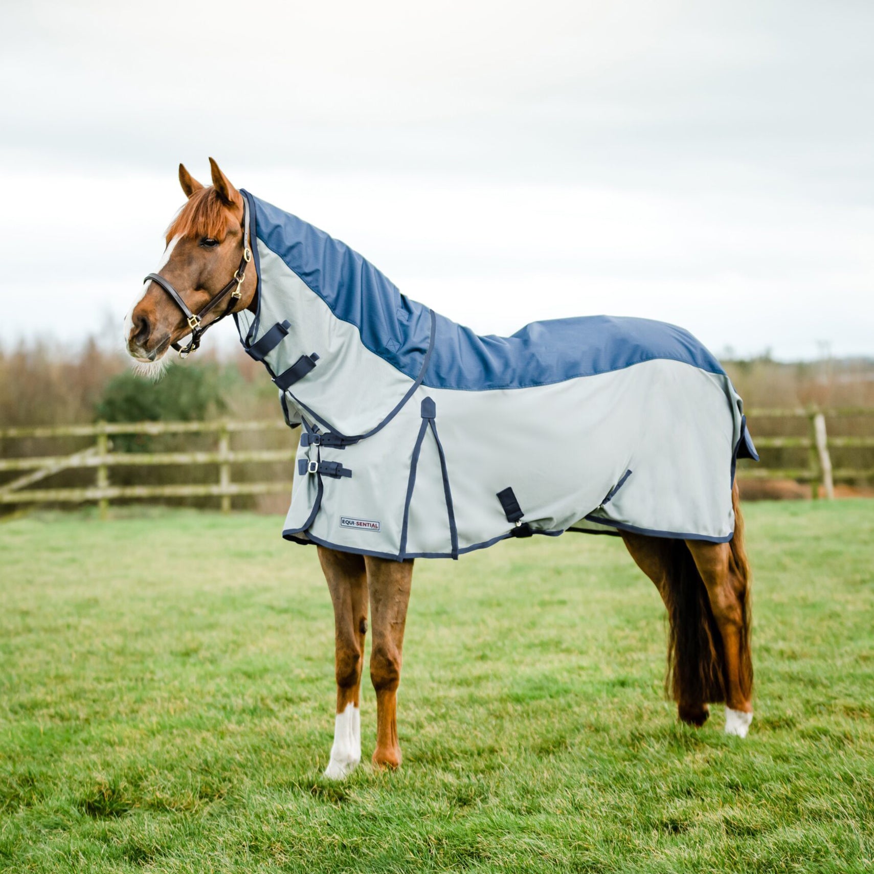 Mackey Equisential Waterproof Fly Rug