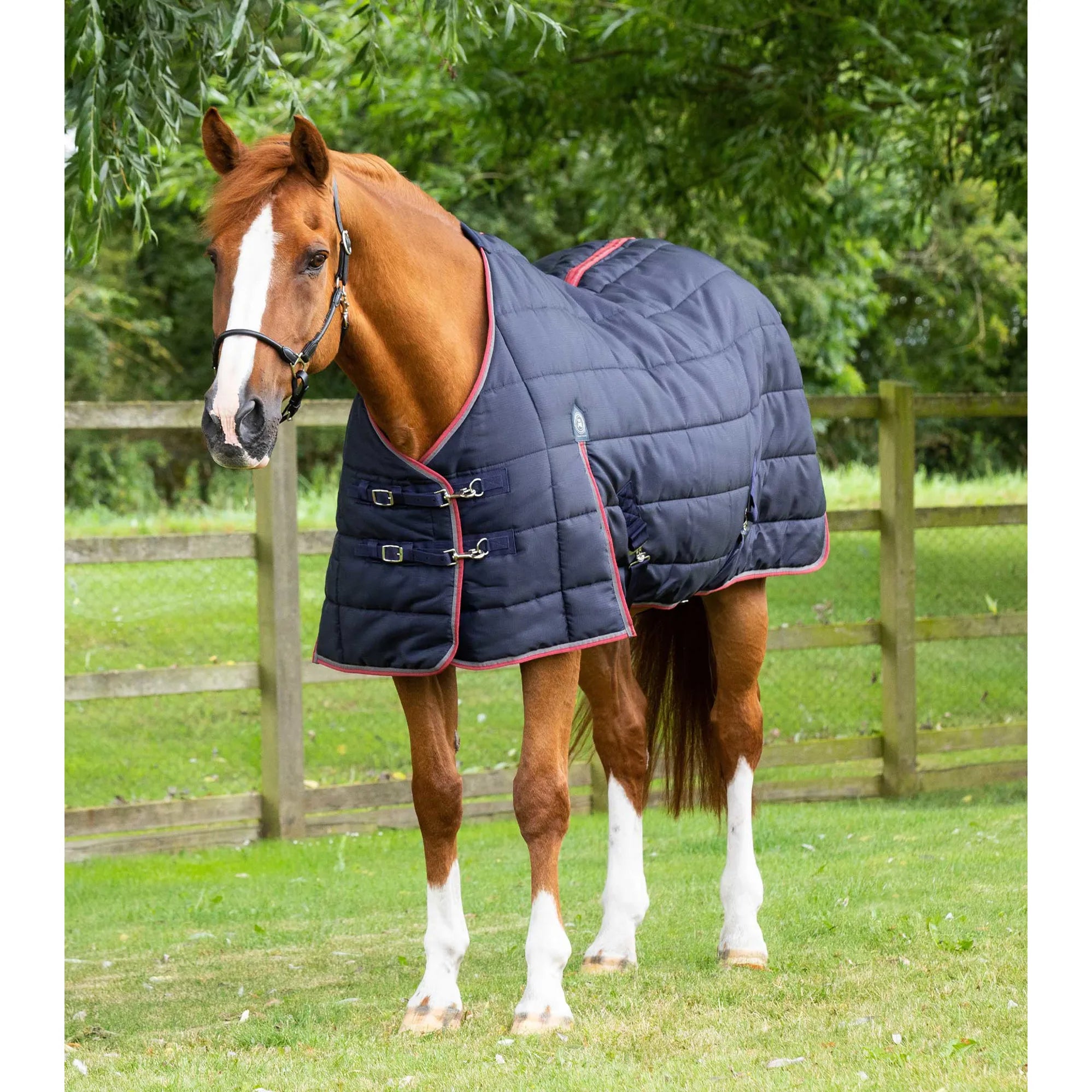 Premier Equine Garissa Stable Rug 200 g