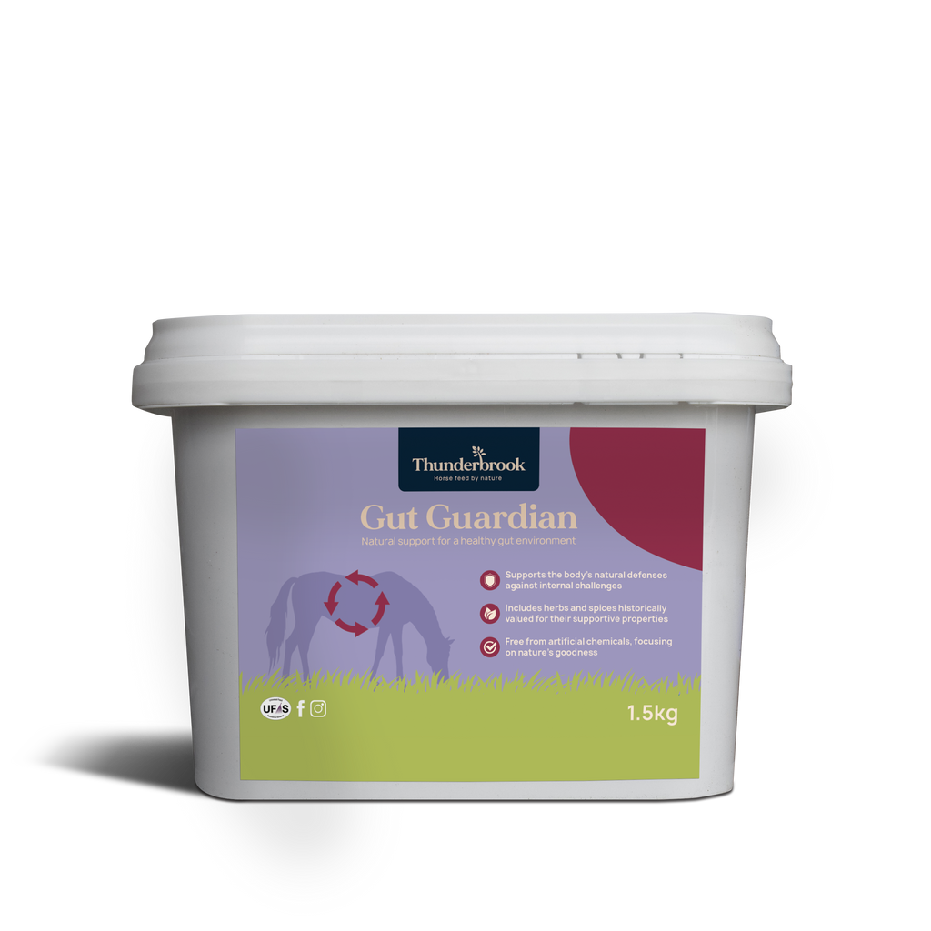 Thunderbrook Gut Guardian (formally Verm Cleanse) 1.5KGS