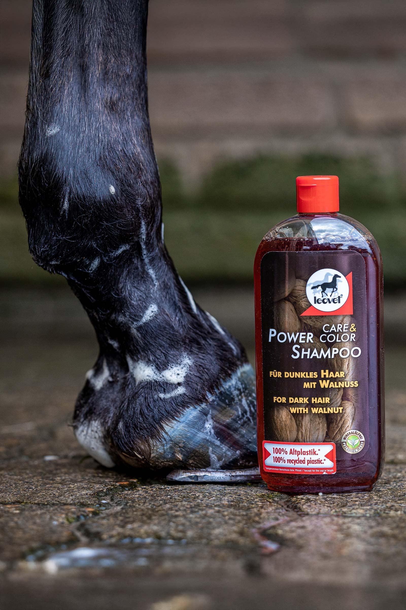 Leovet Power Shampoo