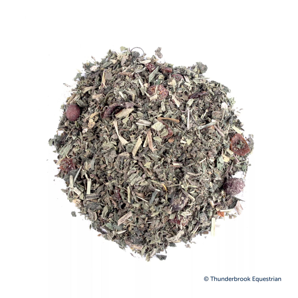 Thunderbrooks Herbs That Horse Seek 1Kg