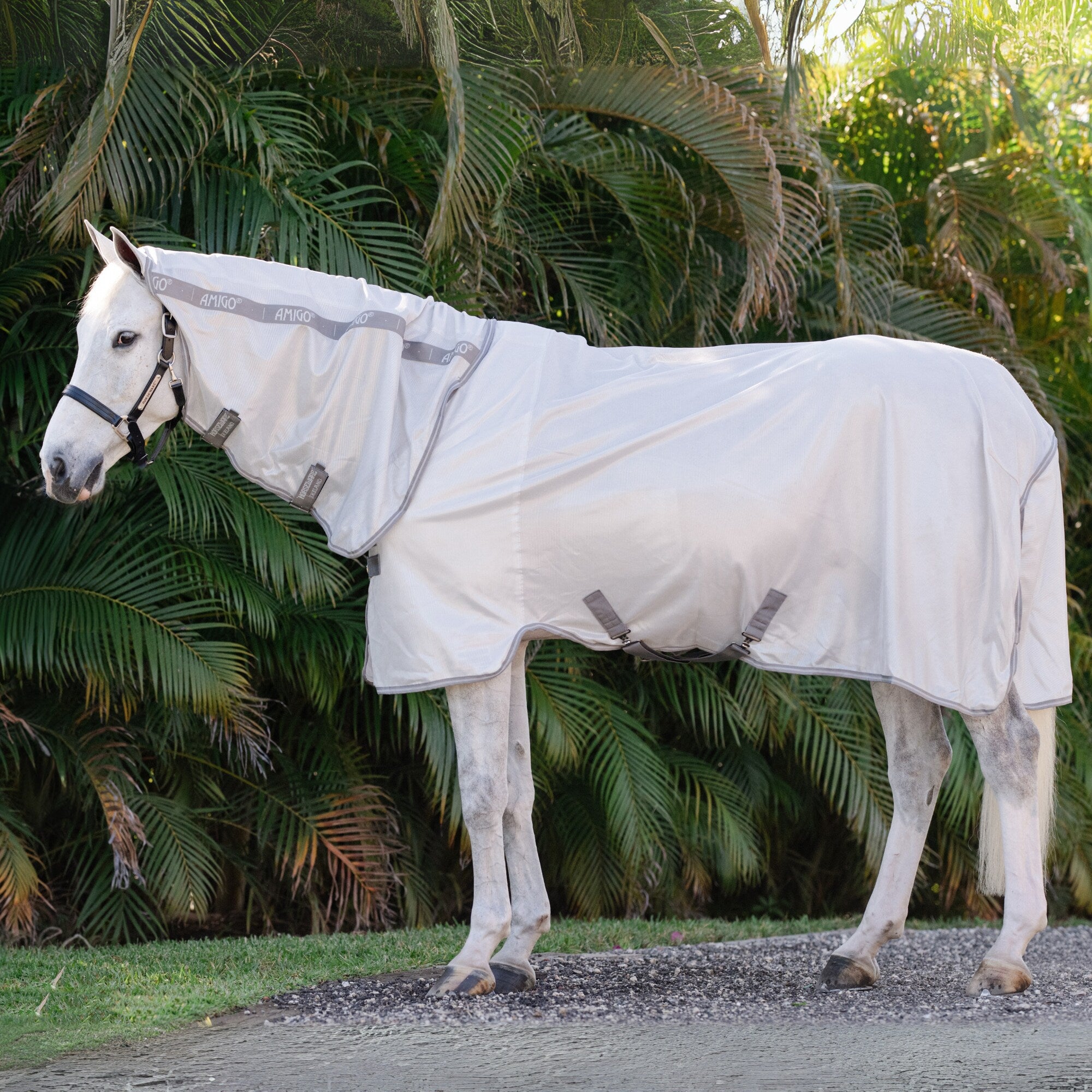 Amigo Integrated Fly Sheet