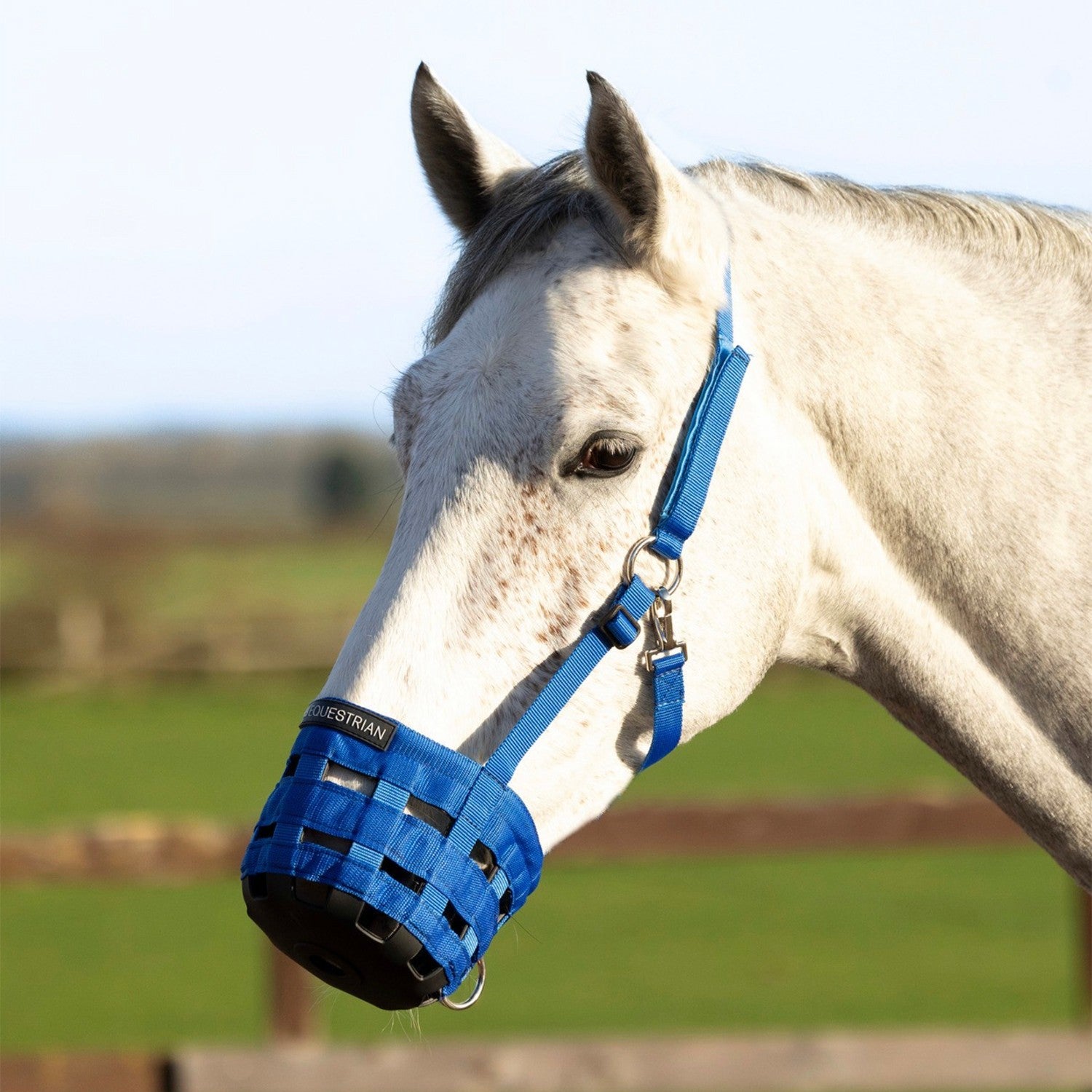 HY EQUESTRIAN MUZZLE