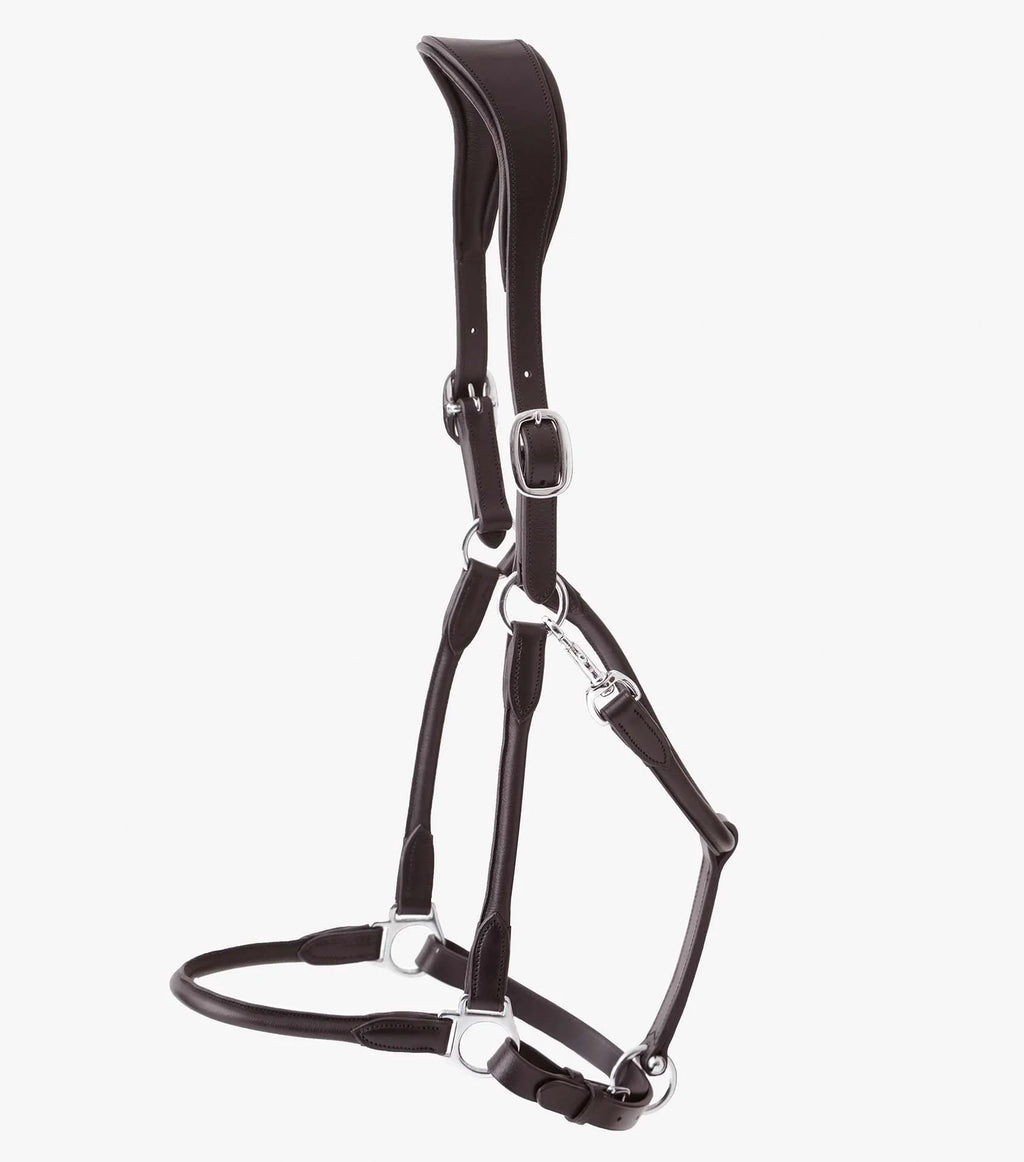 Premier Equine Hennaroso Rolled Anatomic Leather Headcollar