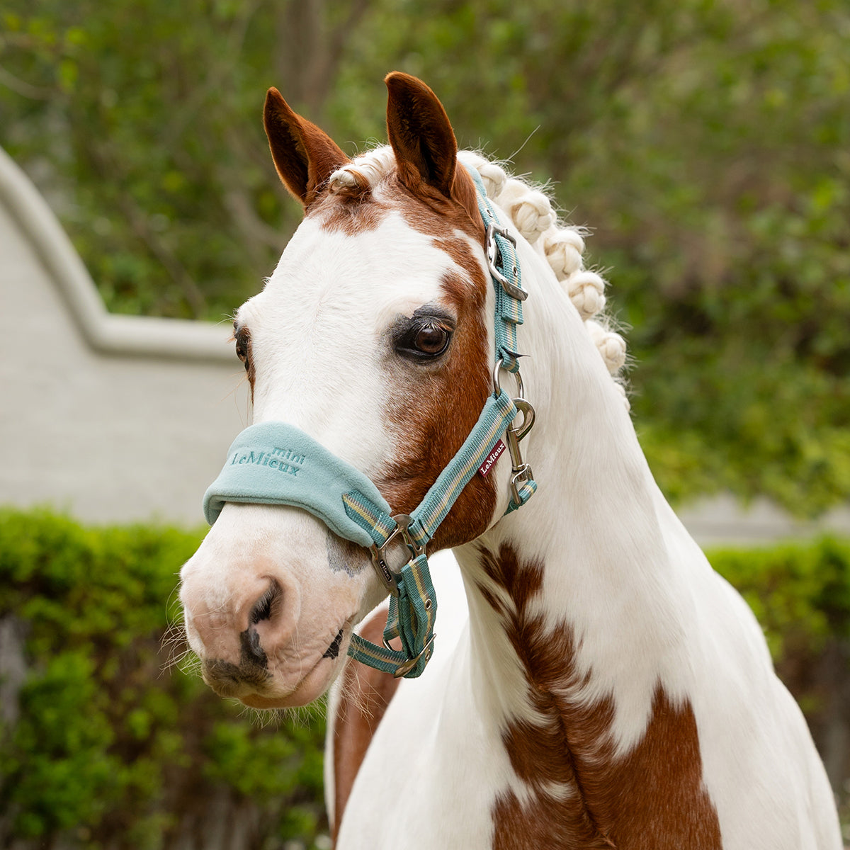 Lemieux Junior Mini Vogue Fleece Headcollar & Leadrope