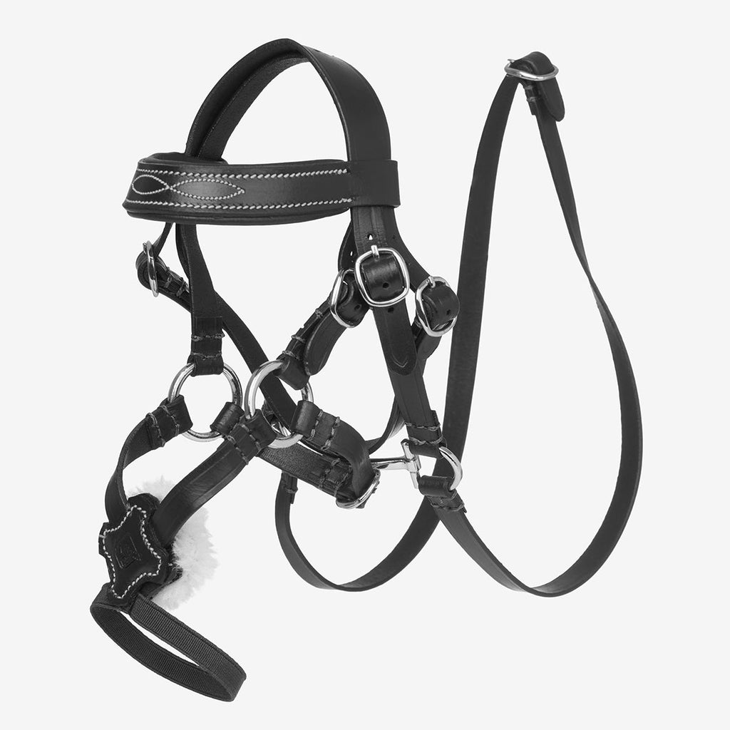 Lemieux Toy Pony Grackle Bridle