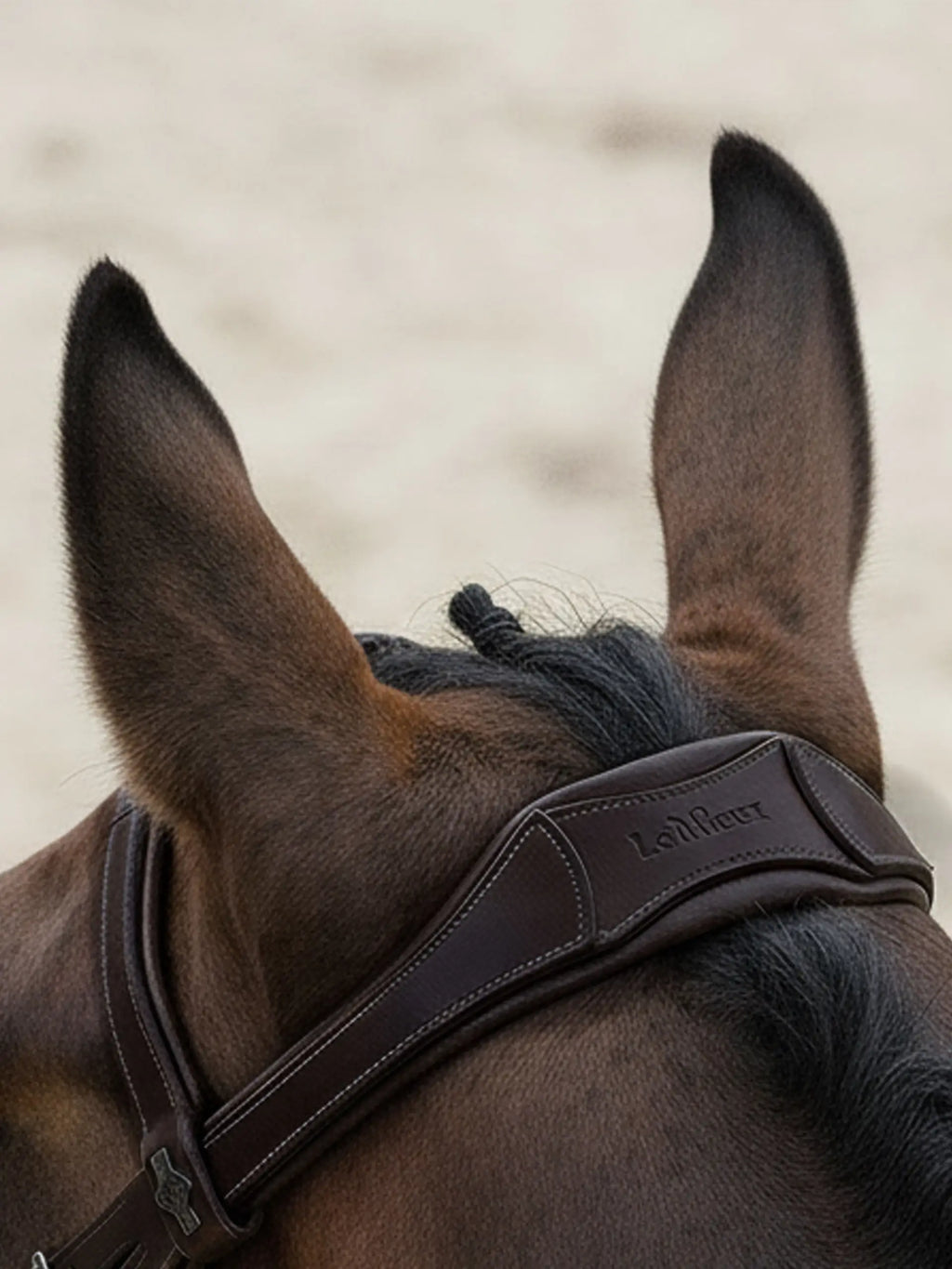 Lemieux Arika Anatomic Flash Bridle
