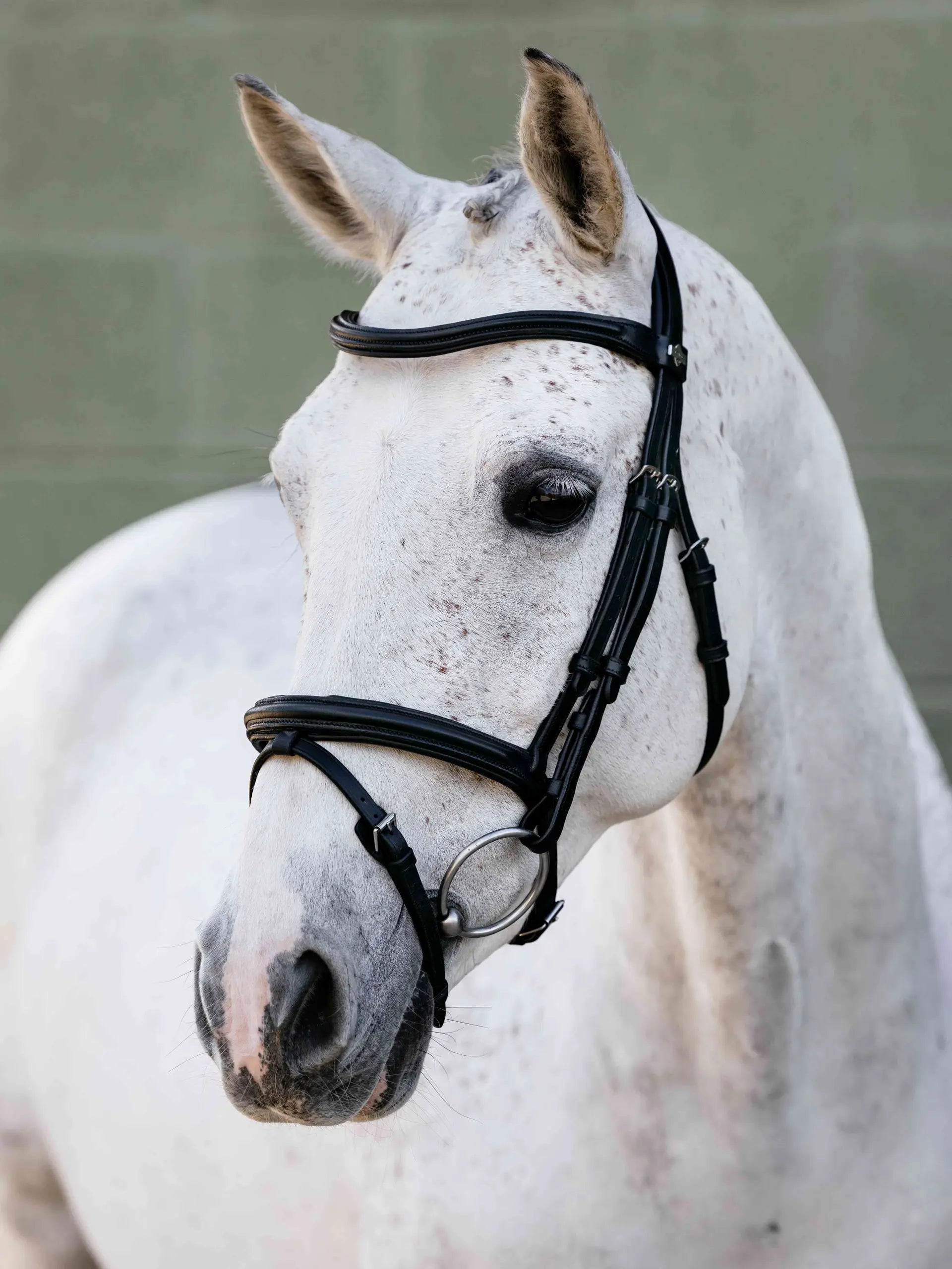 Lemieux Arika Anatomic Flash Bridle