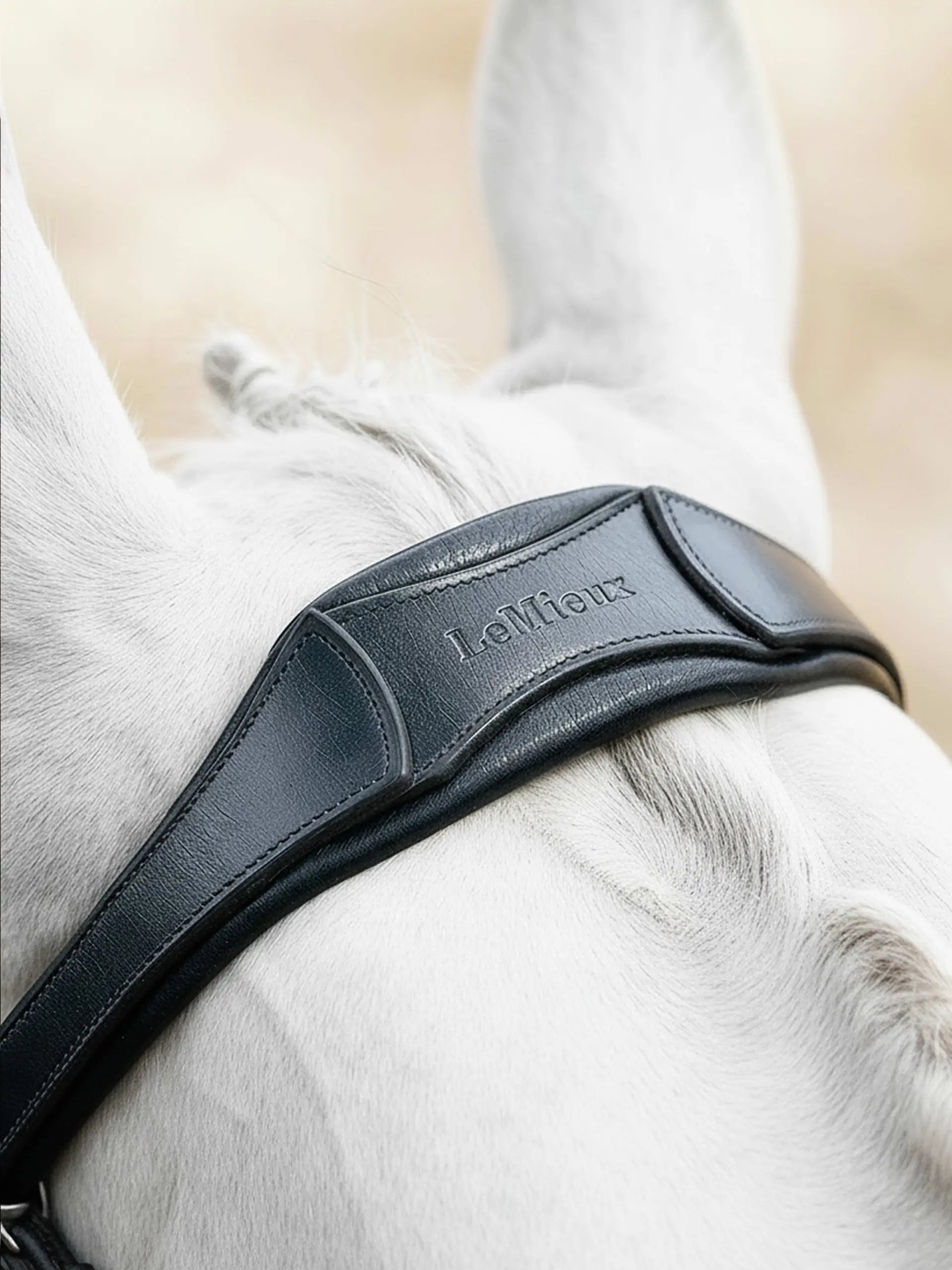 Lemieux Arika Anatomic Flash Bridle