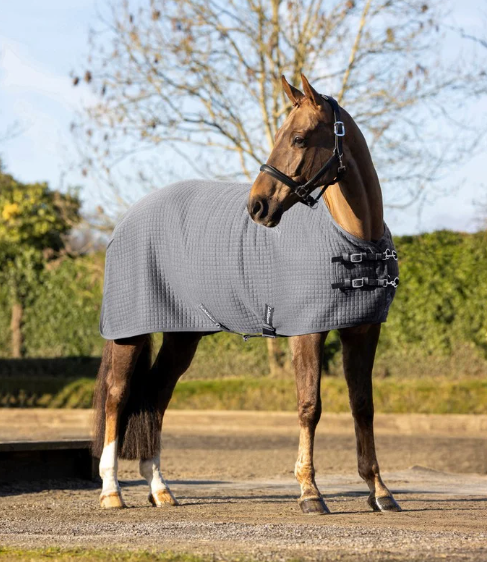 Lemieux Arika Clima-Tek Rug