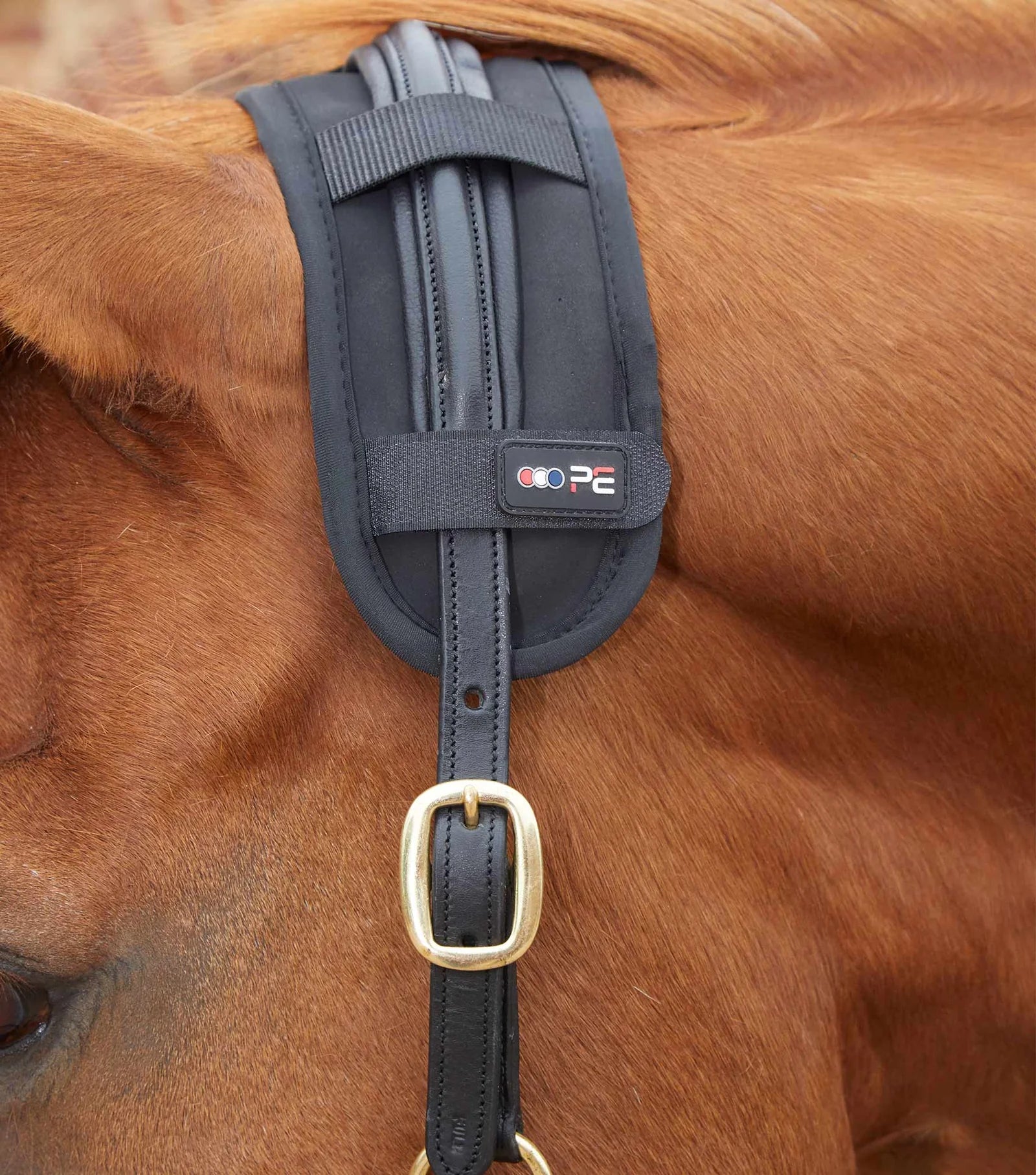 Premier Equine Magni-Teque Poll Band