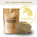 Horse Straights Direct Msm 1Kg
