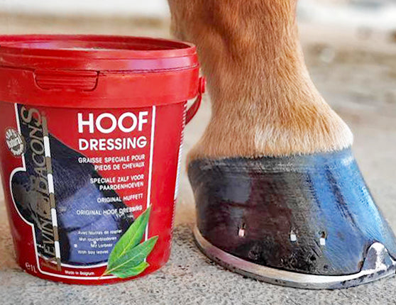 Kevin Bacon Hoof Dressing Original (grease) 5 Litre