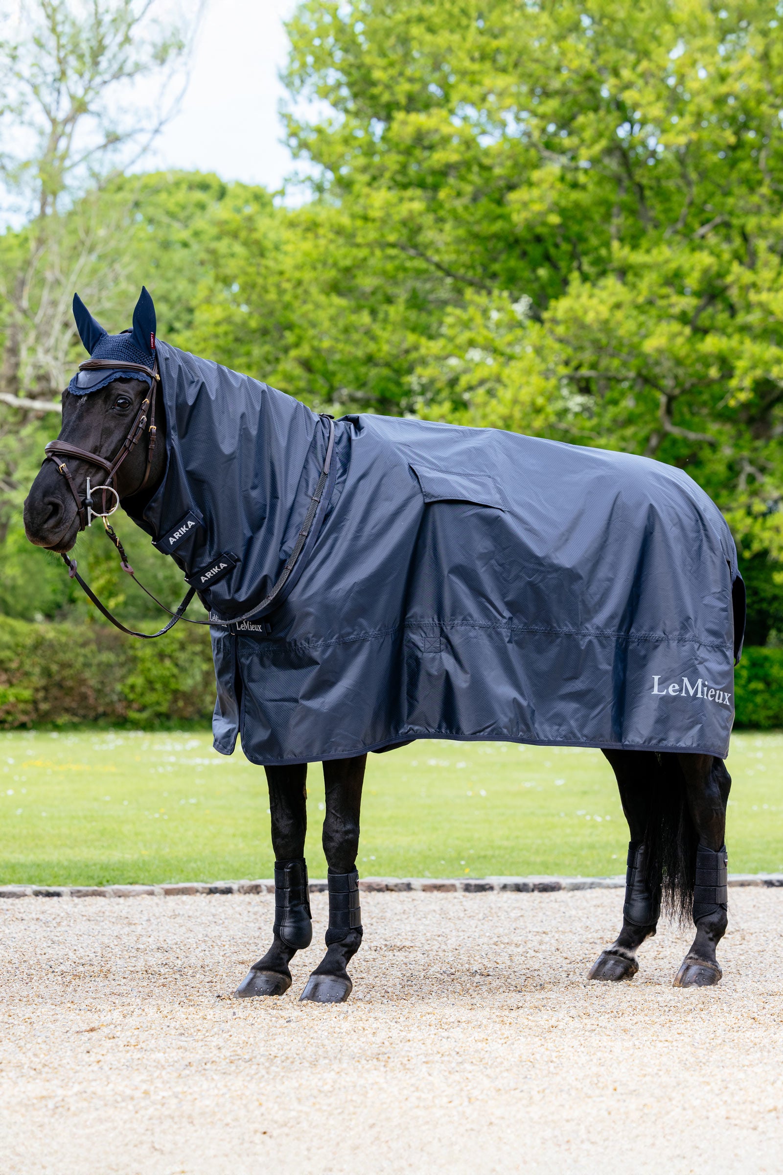 Lemieux Rain Sheet