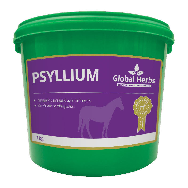 Global Herbs Psyllium Husk 1 kg