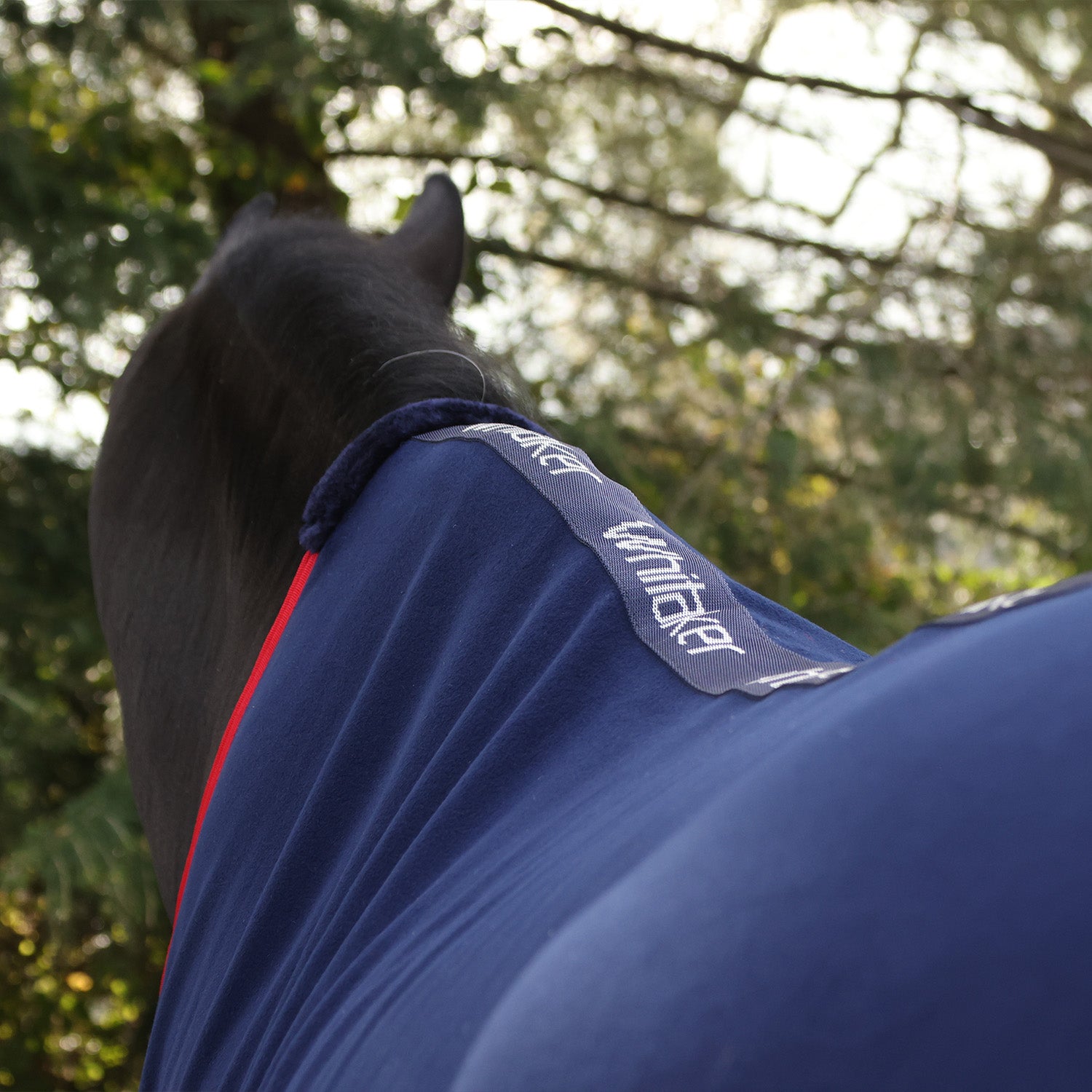 Whitaker R470 Rastrick V2 Fleece Rug