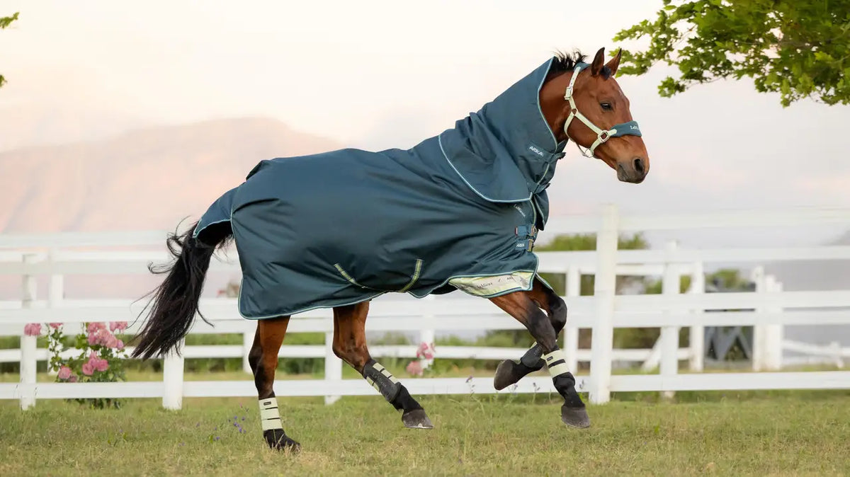 Le Mieux Arika Ripstop 0g Turnout Sale