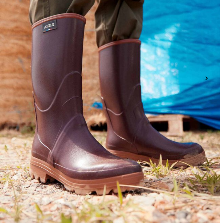 Aigle Chambord Vario - Sureau