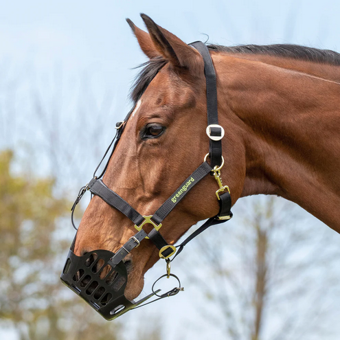 Greenguard Horse Muzzle Medium