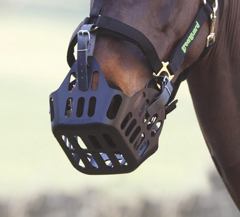 Greenguard Horse Muzzle Medium