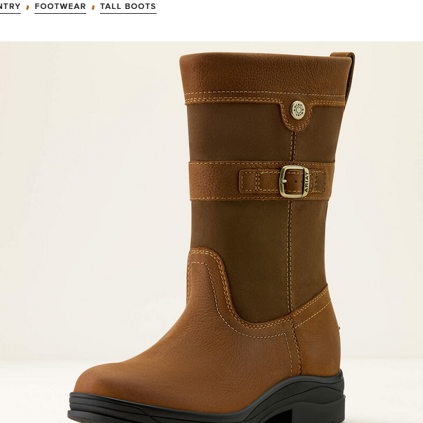 Ariat Bampton Waterproof Boot